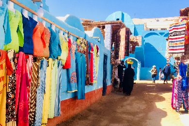 【日本語ガイドがご案内】インスタ映え必至！！エジプトにこんな村が？カラフルでポップなヌビア村半日観光