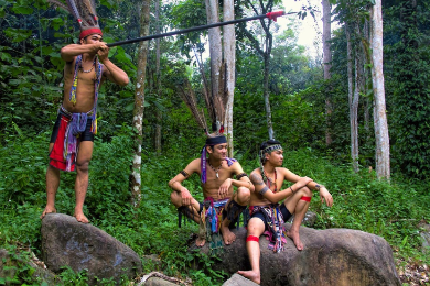 【日本語ガイド】【半日】【昼食付】
先住民族の文化や習慣を見学体験 
MARI MARI ビレッジツアー