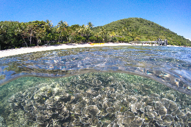 【ひとり旅応援】【送迎なし】サンゴ礁と熱帯雨林を同時に満喫！＜高速フェリー利用＞フィッツロイ島1日ツアー