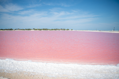 【日本語ガイド同行】世界遺産チチェンイツァ+セノーテイキル+ピンクレイク