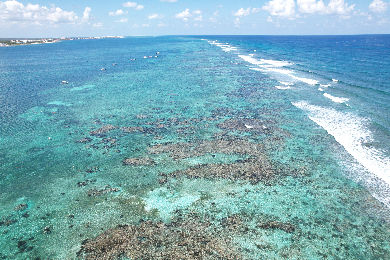 【日本語ガイド】世界で2番目に大きな珊瑚礁メソアメリカンバリアリーフスノーケルツアー