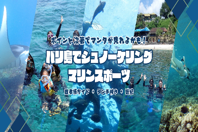 【マリンスポーツ】
マンタが見れるチャンスも！
スノーケリングツアー