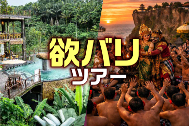 【日本語ガイド】【昼・夕食付き】
ウブド散策+選べる寺院ツアー