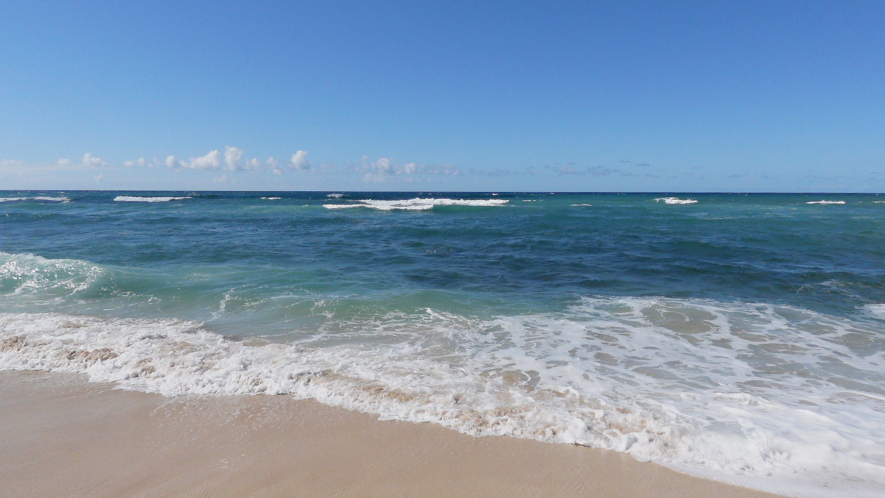 英語ツアーが不安な方にぴったり♪ <br>
日本人通訳同行プラン

