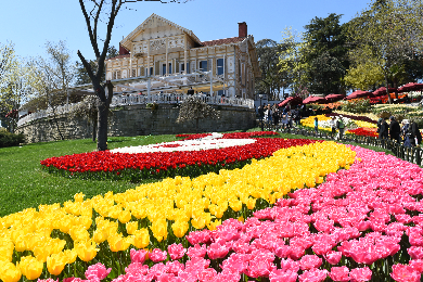 【半日】チューリップフェスティバル開催期間限定！エミルギャン公園往復送迎