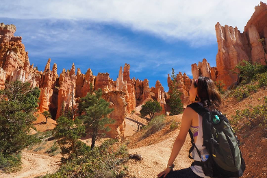 【日本語ガイド】ブライスキャニオンにも宿泊！　ラグジャリーバンで行くワンランク上の2泊3日15か所巡りVIPツアー