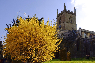 【日本語アシスタント】【ひとり旅応援】憧れのコッツウォルズ周遊1日観光ツアー ～選べる！4つの人気の村巡り～