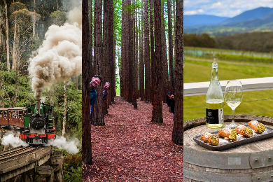【日本語音声ガイドアプリあり】バス内無料Wi-Fi
パッフィンビリー鉄道ツアー