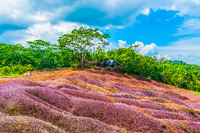 【終日ツアー】【昼食付き】【専用車】
七色の大地と滝体験！～ワイルドサウスツアー～