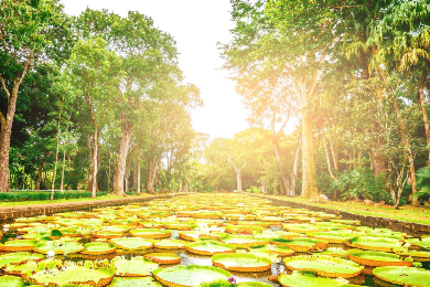 【終日ツアー】【昼食付き】【専用車】
古さと新しさが融合した首都へ！～ポート・ルイス・シティーツアー～