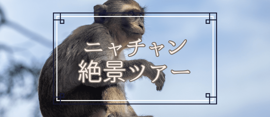 【ニャチャン発】 絶景ツアー<br>モンキーアイランド付き<br> ~ベトナムのウユニ・インドシナ半島最大の塩田と穴場ビーチ~