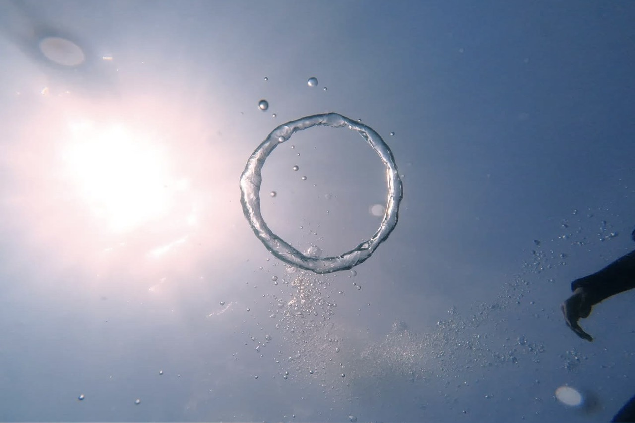 ニャチャンボートシュノーケリング<br>セイリングクラブダイバーズ利用<br>(英語ツアー)