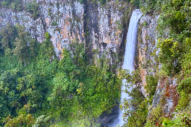 【世界遺産】
スプリングブルック＆マウントタンボリンツアー