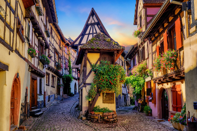 【パリ発】＜日本語アシスタントと行く!＞アルザスの観光名所巡り1日ツアー	