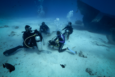 【タヒチ島発】ファンダイビング