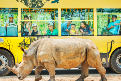 【チケット予約】
ヴィンパール・サファリ・フーコック