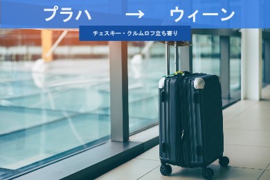 【貸切専用車・片道】プラハからウィーンへ！（チェスキー・クルムロフ立ち寄り/ドライバーのみ）