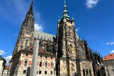 【半日】貸し切り日本語アシスタント
～4時間～（午前もしくは午後）