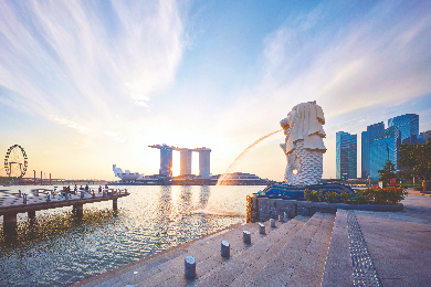 【日本語アシスタント】【午前半日】～マリーナ地区の絶景・マーライオン・チャイナタウン＜空港発＞～※モルディブからの帰国時、シンガポールに宿泊されるお客様が対象※