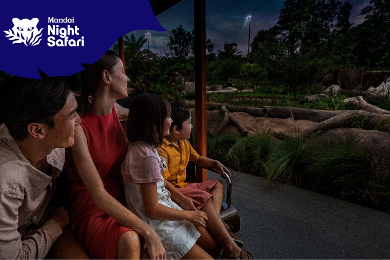 【チケット予約】ナイトサファリ入場料+ 日本語トラムサファリ