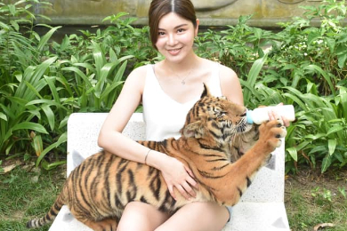 【日本語ガイド】サムイ島内観光＋水族館とタイガーZoo（昼食付き）