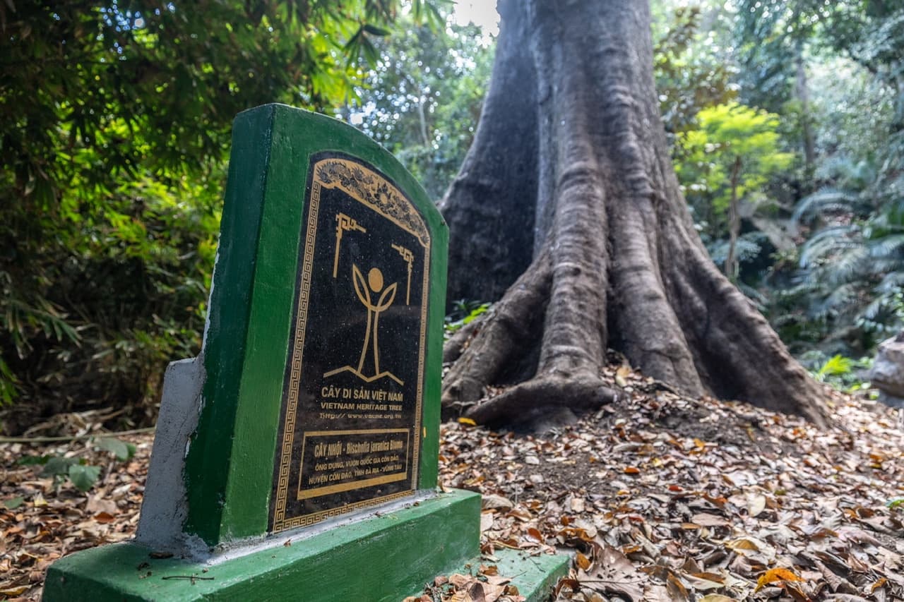 国立公園の森ハイキング<br>コンダオの大自然満喫ツアー<br>(秘境ビーチでシュノーケリングも！)