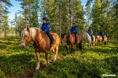 ＜エルク・オーロラ・ロッジ宿泊者限定＞
フィンランドの大自然での乗馬体験
（9月～4月）